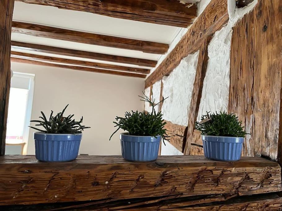 Nouvel Appartement, Le Colombage Heureux Sélestat Esterno foto