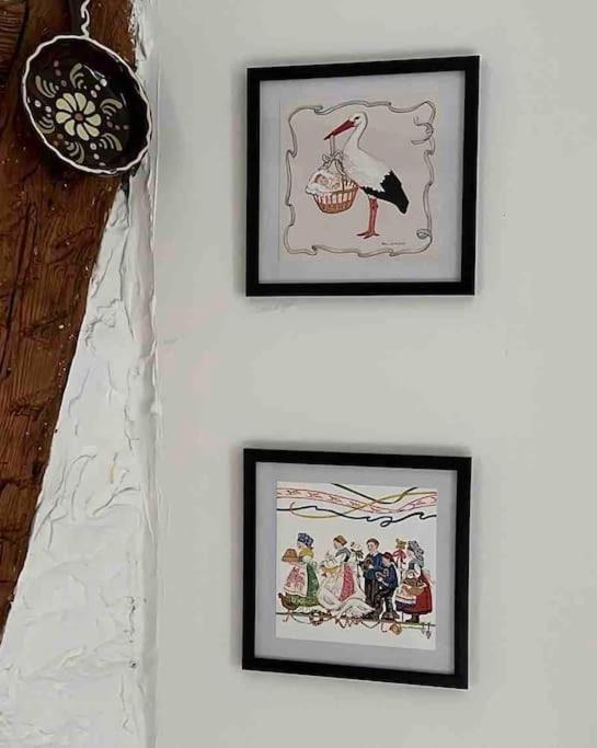 Nouvel Appartement, Le Colombage Heureux Sélestat Esterno foto