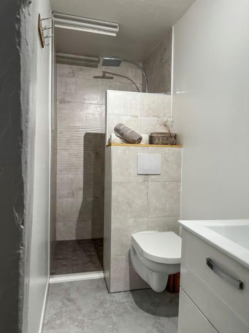 Nouvel Appartement, Le Colombage Heureux Sélestat Esterno foto