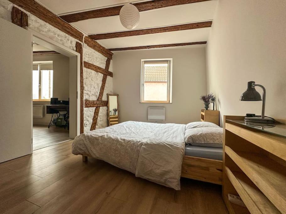 Nouvel Appartement, Le Colombage Heureux Sélestat Esterno foto